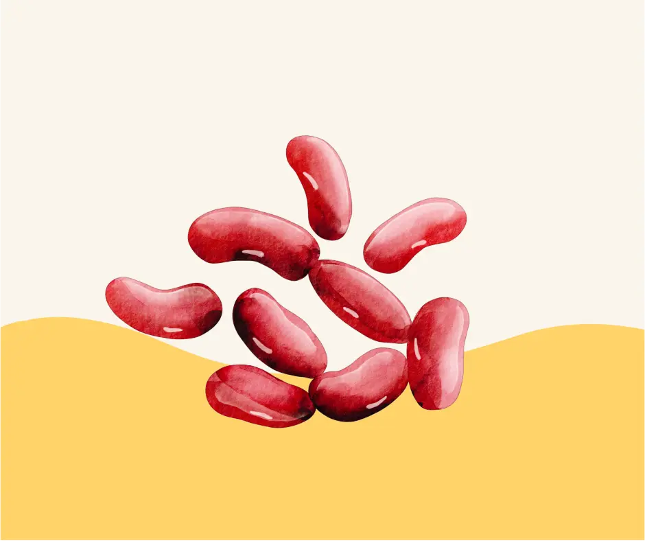 Legumi-Conserve -  Spesa da Antonio