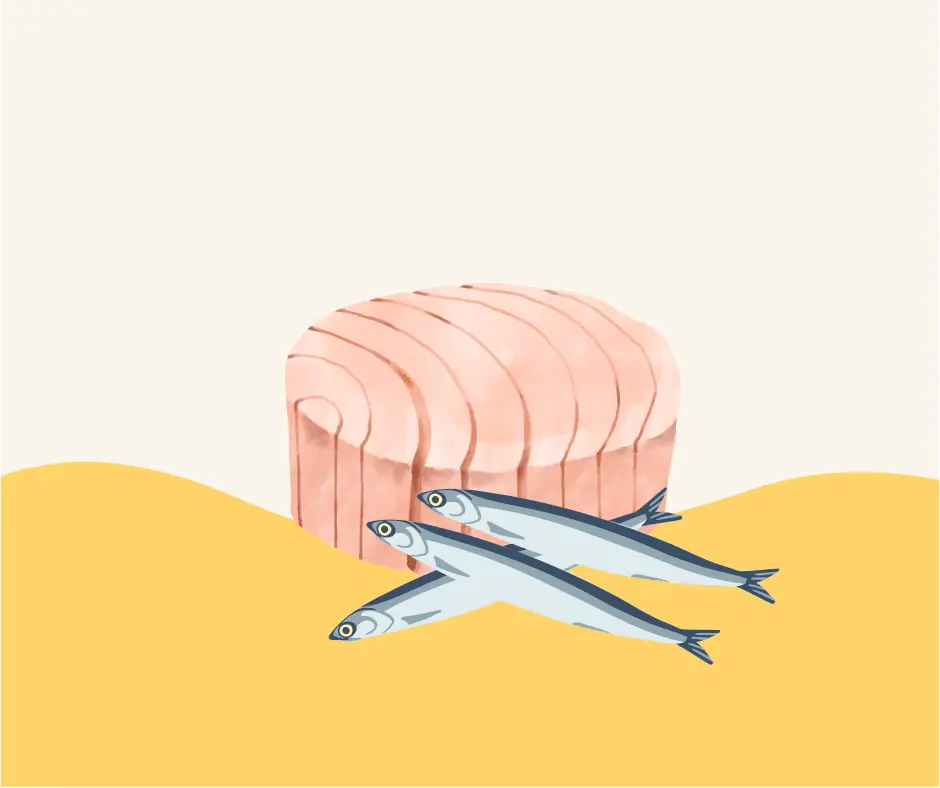 Tonno-acciughe -  Spesa da Antonio