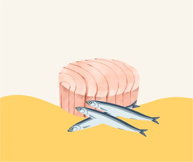 Tonno-acciughe -  Spesa da Antonio